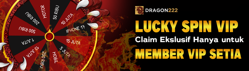 DRAGON HOKI SPIN VIP